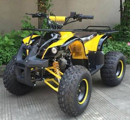 Avantis ATV Classic 8. ,  \,   