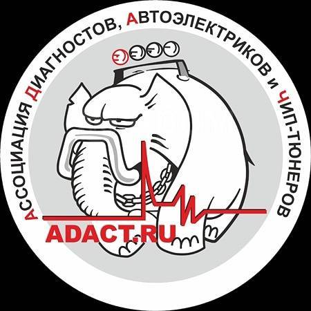 Чип новокузнецк. ADACT. ADACT лого. АДАКТ Новосибирск. АДАКТ логотип макет.