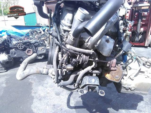   Suzuki,   msk