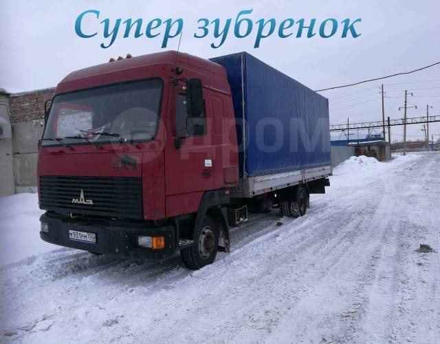 Зубренок маз 4371w1 432