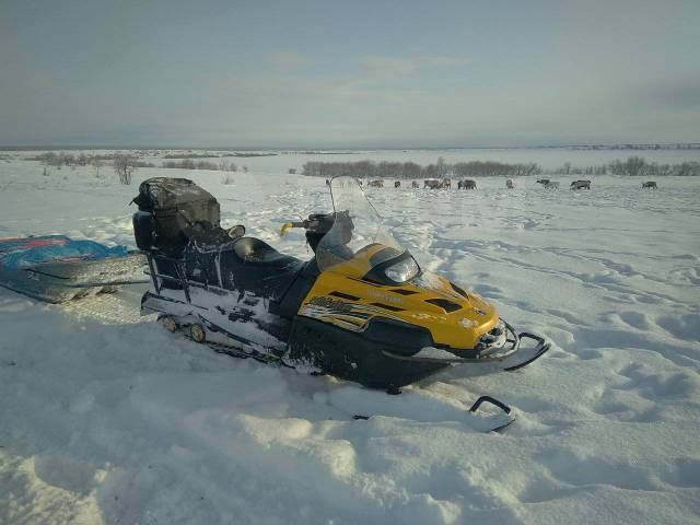 BRP Ski-Doo Skandic SWT. ,  ,   