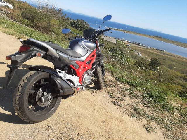 Suzuki SFV 650 Gladius. 650. ., , ,   