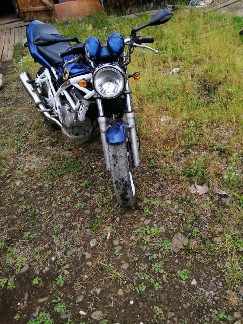 Suzuki Bandit. 250. ., , ,   