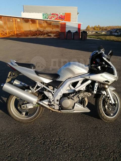 Suzuki SV 1000. 1 000. ., , ,   