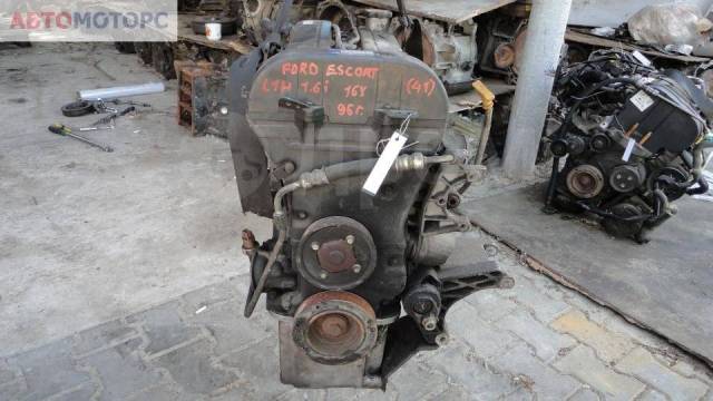 Двигатель Ford Escort 4, 1995, 1.6 л, бензин i (L1H )