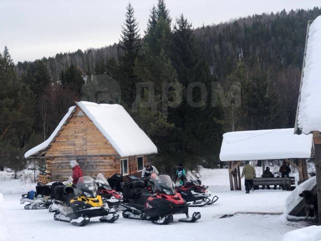 BRP Ski-Doo Skandic. ,  ,   