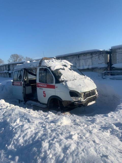 Газель соболь фото