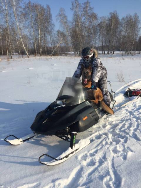 Arctic Cat 450.  ,   