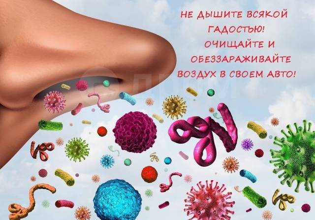 Что находится внутри микробов Очиститель воздуха бактерицидный автомобильный 12 Вольт, новый, в наличии. Цена: