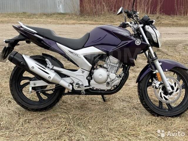 Yamaha FZR 250. 250. ., , ,   