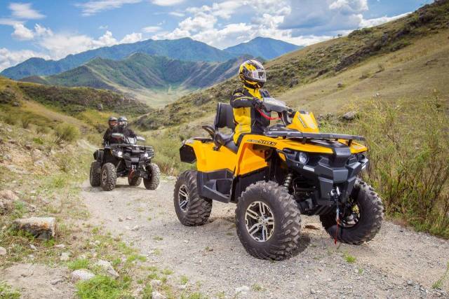 Stels ATV 800G Guepard Trophy. ,  \,  .     