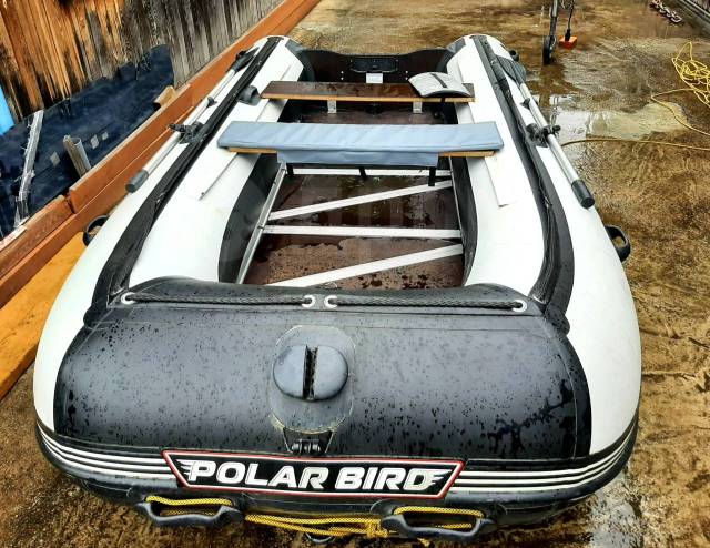 Polar Bird. 2020 ,  3,85.,  , 18,00..,  
