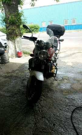 Honda CB 1300. 1 300. ., , ,   