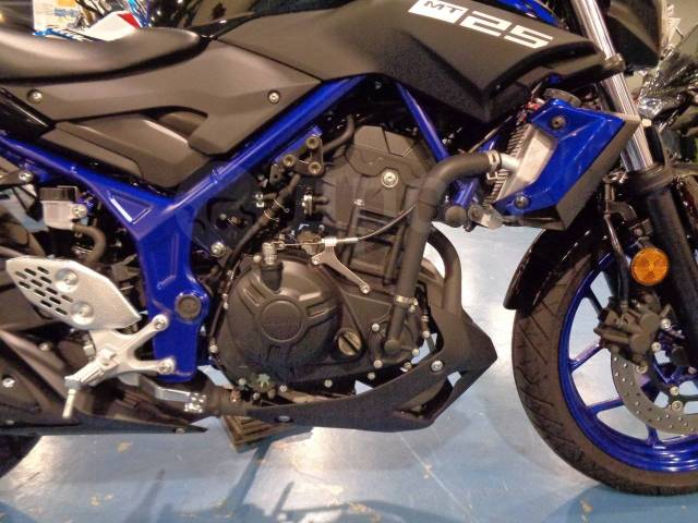 Yamaha MT-25. , ,  .     