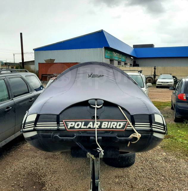 Polar Bird. 2020 ,  3,85.,  , 18,00..,  