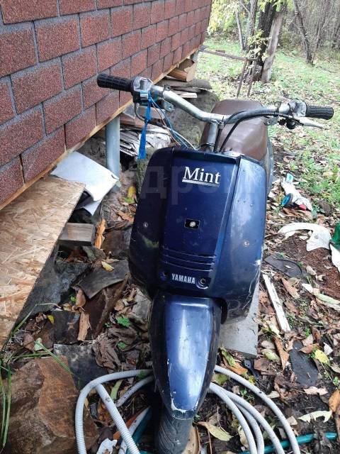 Yamaha Mint. 49. ., ,  ,   