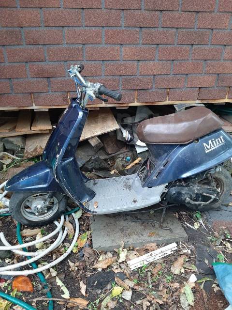 Yamaha Mint. 49. ., ,  ,   