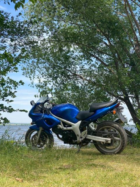 Suzuki SV 650S. 650. ., , ,   