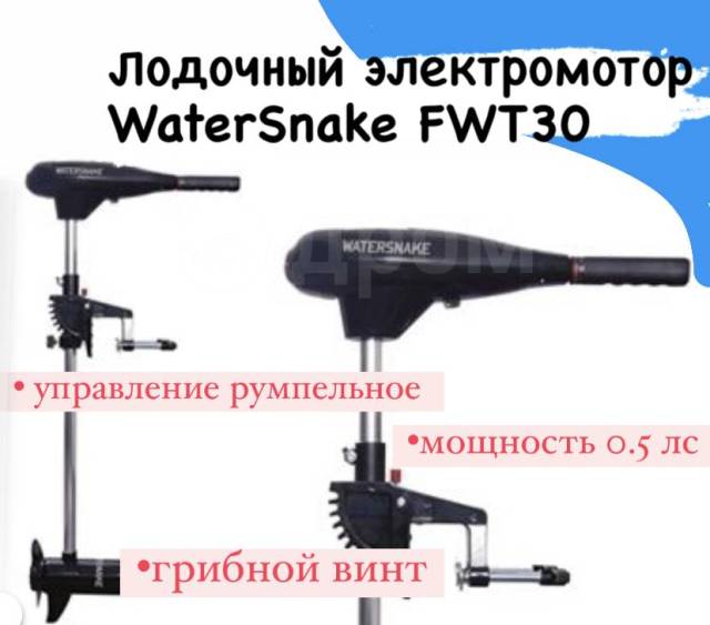 WaterSnake. , 2020 .     