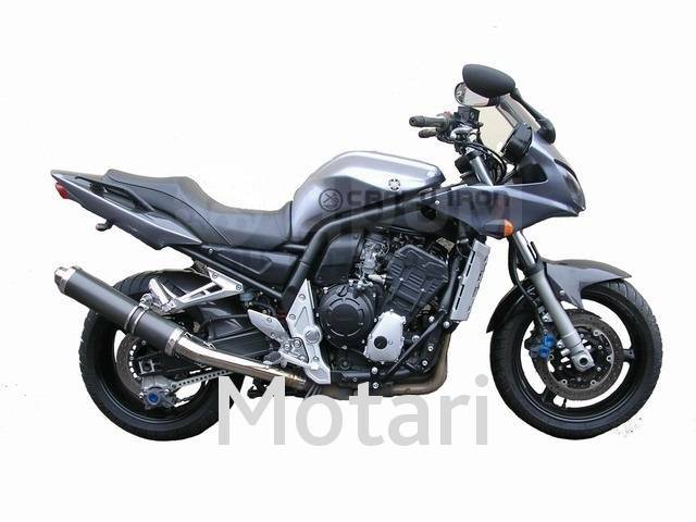  Crazy Iron Yamaha FZS1000 01-05 