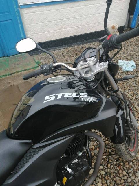 Stels Flex 300