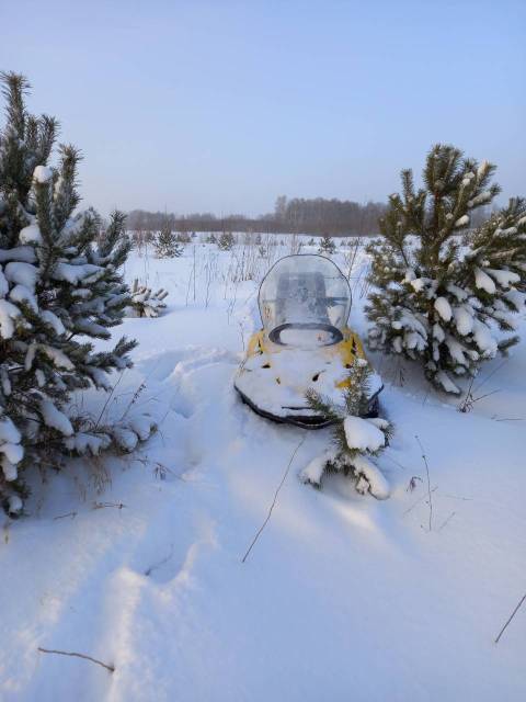 BRP Ski-Doo Skandic. ,  ,   