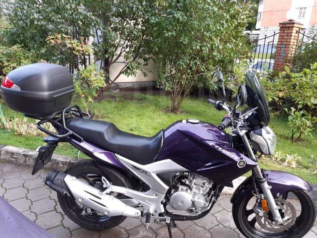 Yamaha FZR 250. 250. ., , ,   