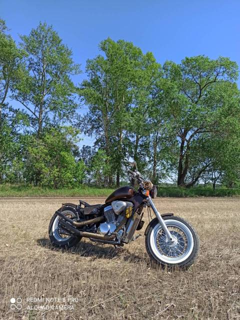 Steed 600 shop bobber