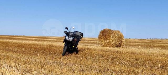 Suzuki V-Strom. 650. ., , ,   