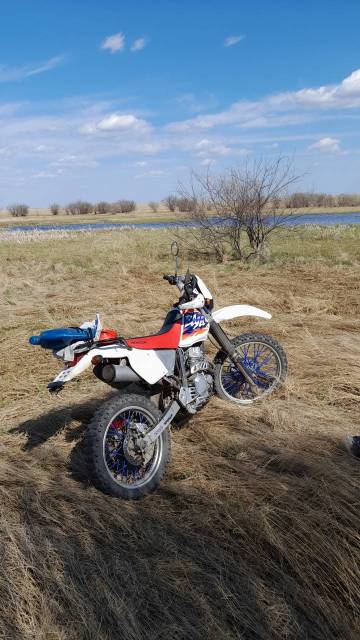 Honda XR 250 Baja. 250. ., , ,   