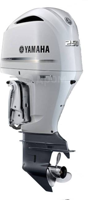 Наличие! лодочный мотор Yamaha DET2X 250 2022 Japan! Кредит - Лодочные  моторы во Владивостоке