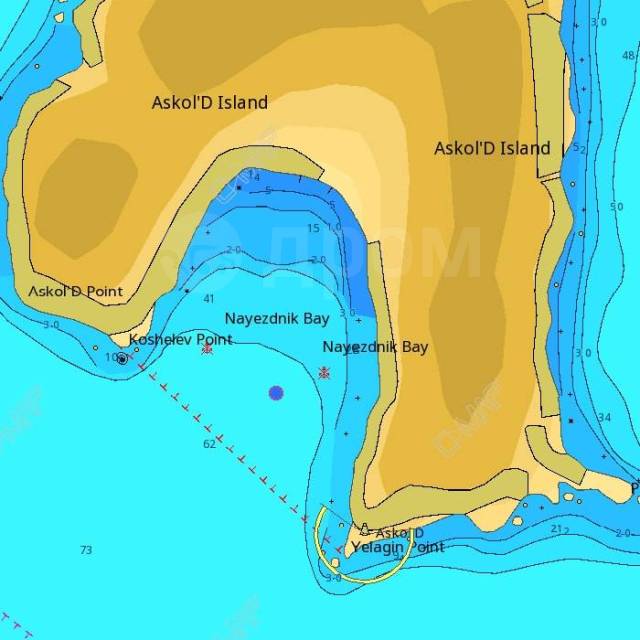  C-MAP 4D Max+ Wide -  -  ( Raymarine Dragonfly, Axiom, Element) 