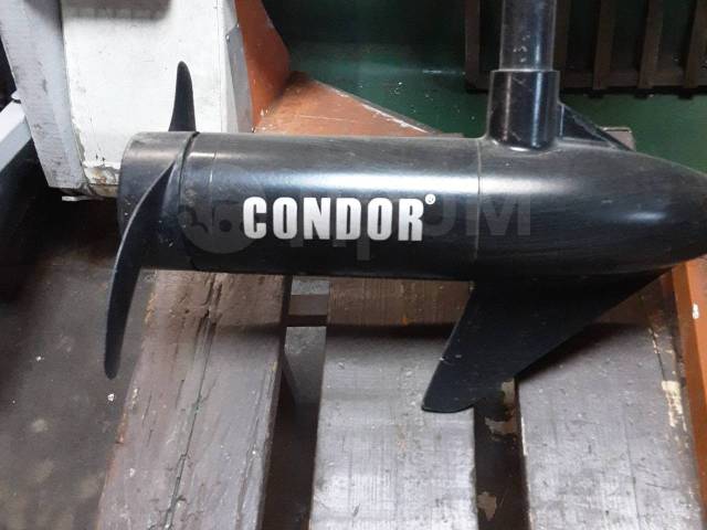 Condor. 0,45.., ,  S (381 ), 2021  