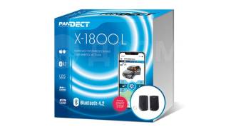  Pandect X-1800L v3 (2  / GSM / ) 