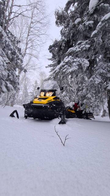 BRP Ski-Doo Skandic WT. ,  ,   