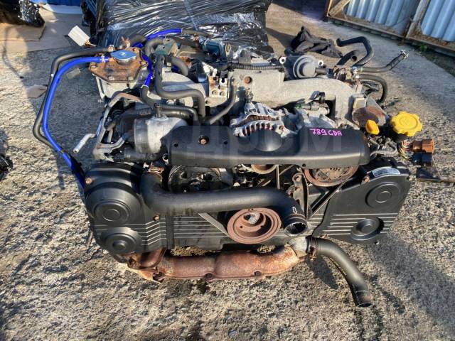самка ej205