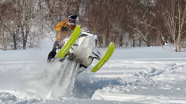 BRP Ski-Doo Freeride 154. ,  ,   