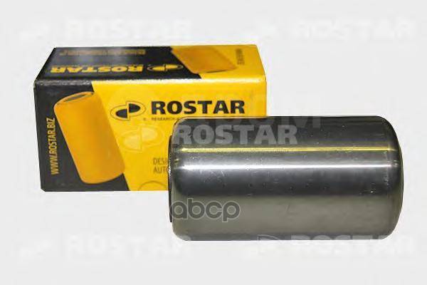   Bpw (0203169000) D30xd57x102 Rostar . 043.016-026 043016026  