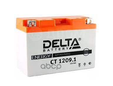   DELTA battery . CT1209.1 