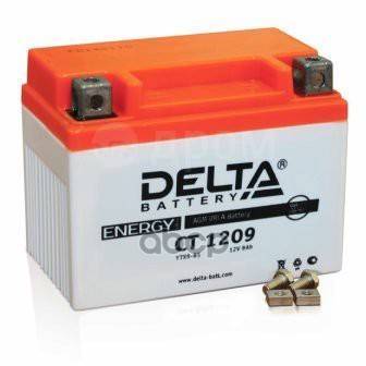   DELTA battery . CT1209 