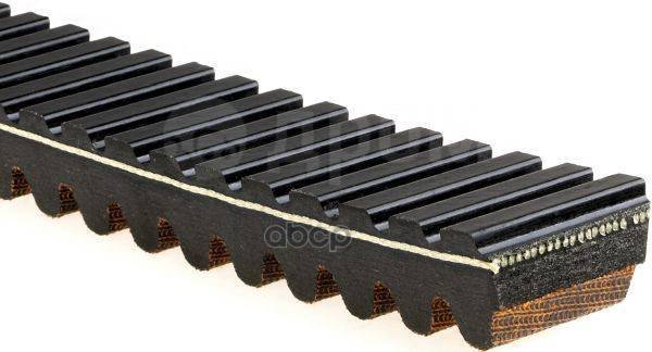  ! 36X968 Cf Moto Cforce 500/600 Gates . 40G3691 