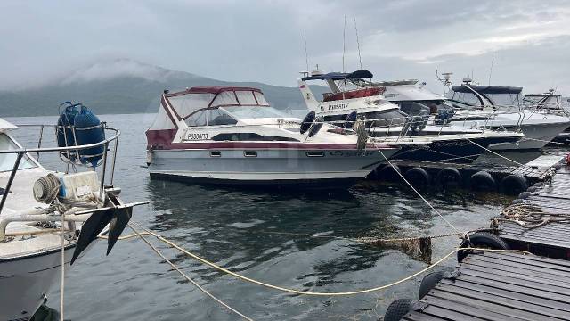 Bayliner. 1991 ,  8,50.,  , 260,00..,  