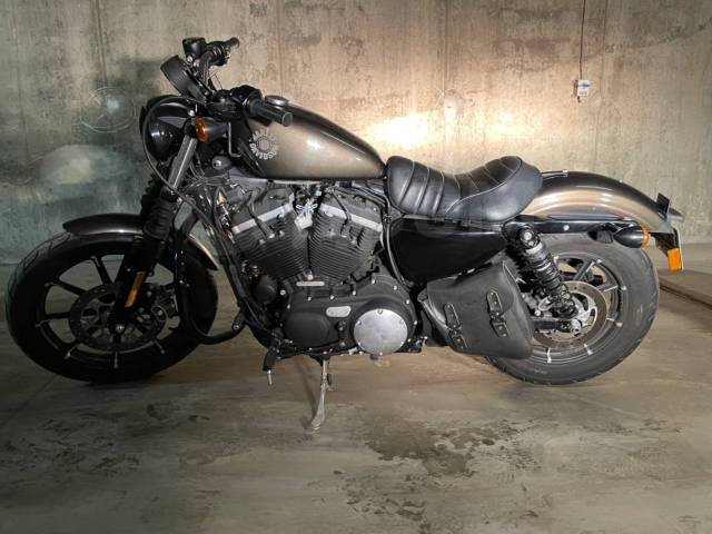 Harley Davidson Sportster 883 2019