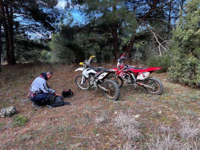 Honda CRF 450X. 450. ., ,  