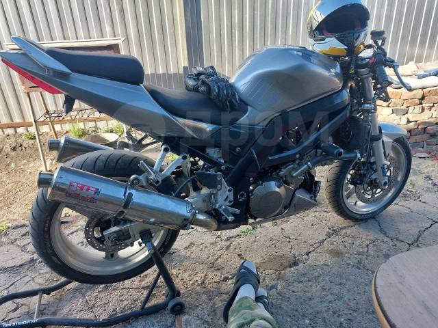 Suzuki SV 1000. 1 000. ., , ,   