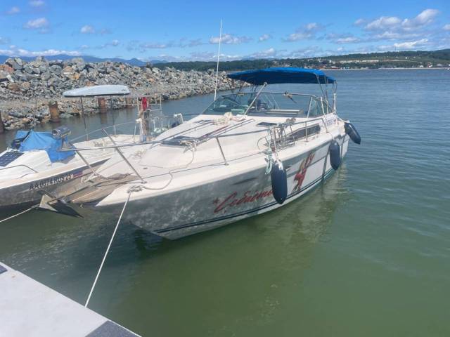 Searay. 1988 ,  9,00.,  , 420,00..,  