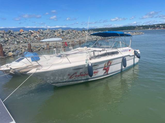 Searay. 1988 ,  9,00.,  , 420,00..,  