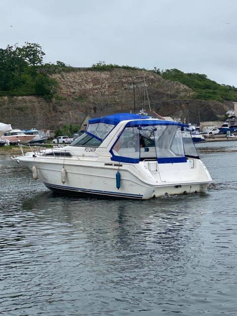 Searay Sundancer. 1989 ,  9,60.,  , 520,00..,  