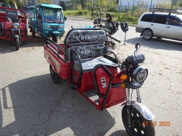 RuTrike D2. 1 200. ., ,  ,   