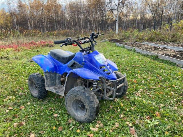 Avantis ATV Classic 6. ,  \,   